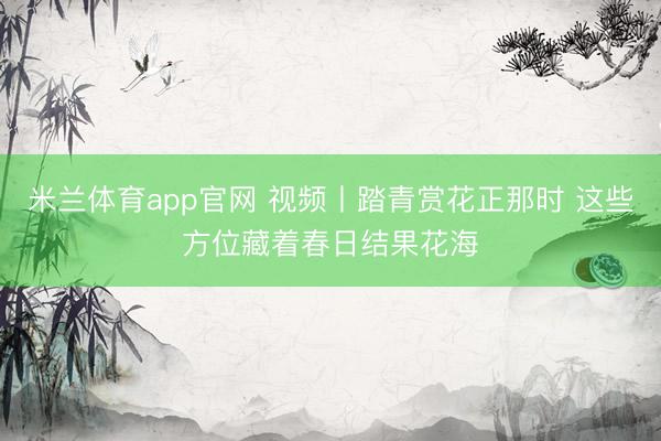 米兰体育app官网 视频丨踏青赏花正那时 这些方位藏着春日结果花海