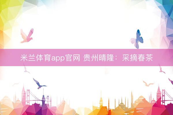 米兰体育app官网 贵州晴隆：采摘春茶