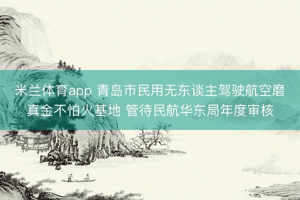 米兰体育app 青岛市民用无东谈主驾驶航空磨真金不怕火基地 管待民航华东局年度审核