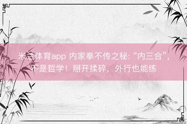米兰体育app 内家拳不传之秘: “内三合”，不是哲学！掰开揉碎，外行也能练