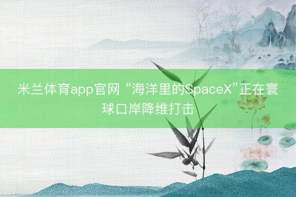 米兰体育app官网 “海洋里的SpaceX”正在寰球口岸降维打击